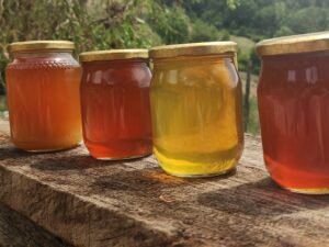 miele, millefiori, acacia, castagno , biodiversita