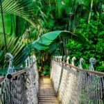 suspension bridge, rainforest, amazon-959853.jpg